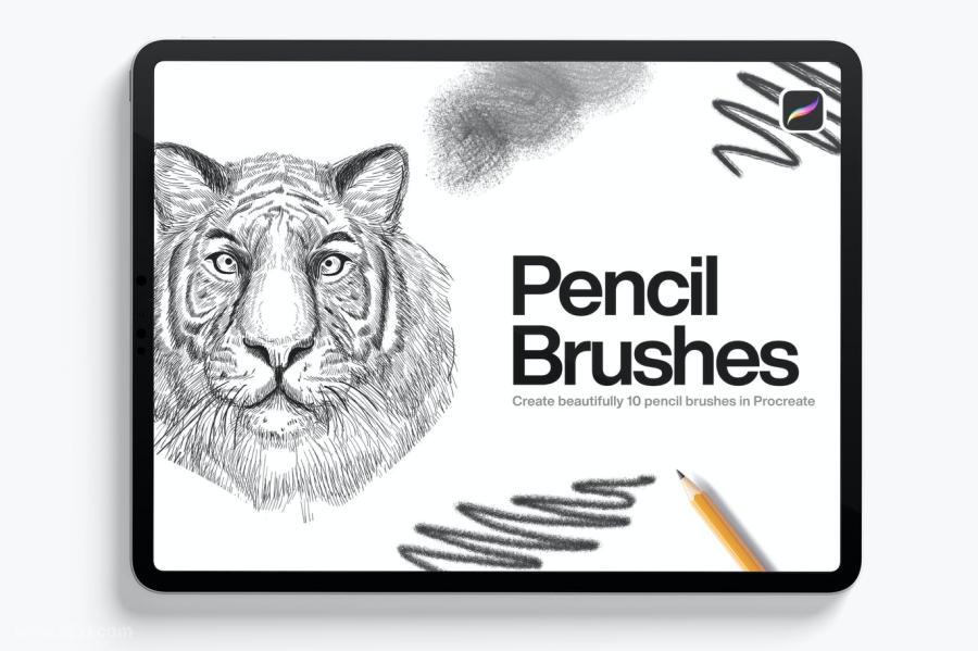 【3533】Procreate笔刷-10款铅笔画笔素描笔刷素材