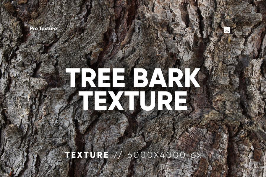 【3872】背景素材-裂缝树干树皮特殊材质纹理背景图片PNG素材